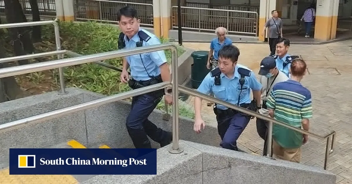 Mentally ill woman spends 2 days in Hong Kong flat with dead mother on sofa
