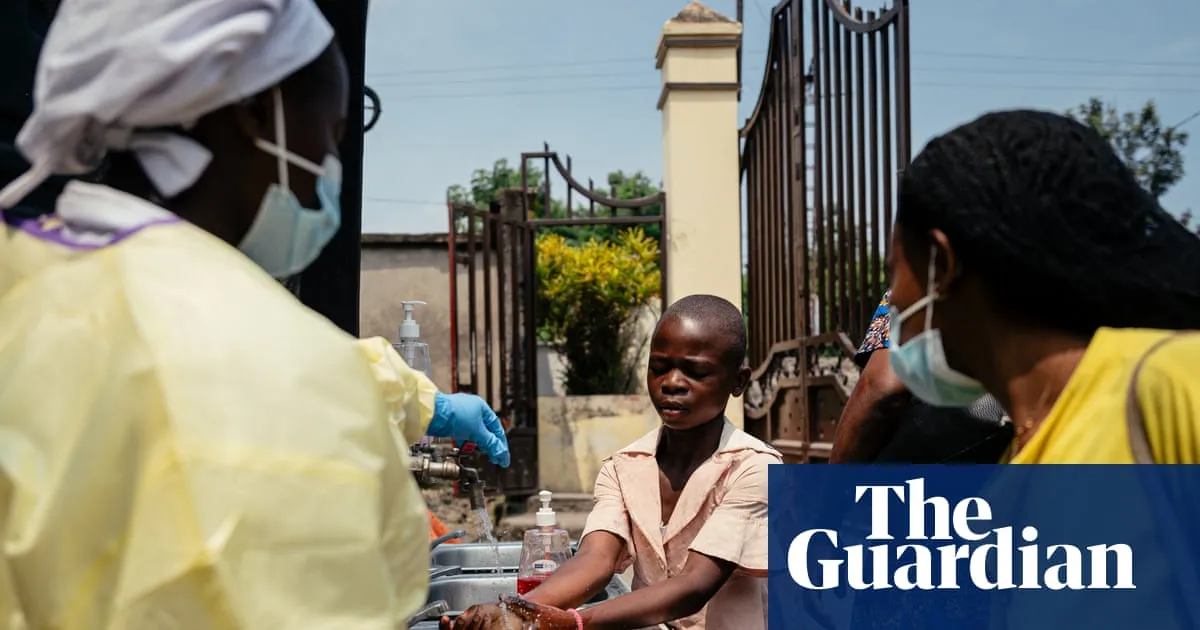 Infectious diseases such as hantavirus and Ebola becoming more frequent and damaging, say experts