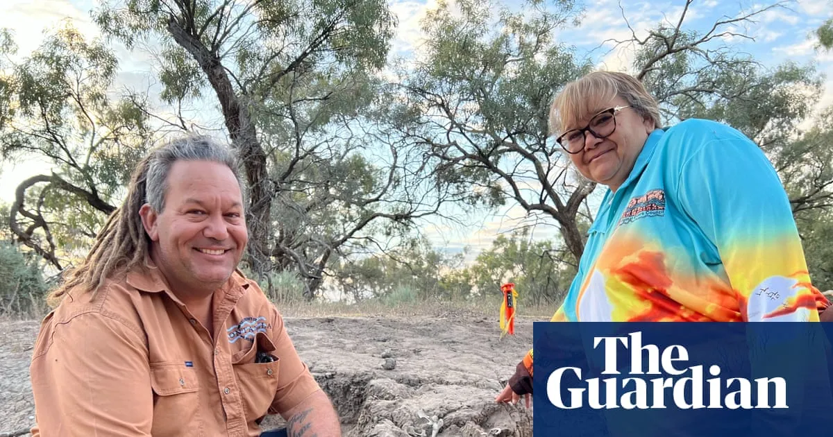 Signs of ‘feeding’ ritual at dingo burial site shed new light on bond between First Nations people and canines