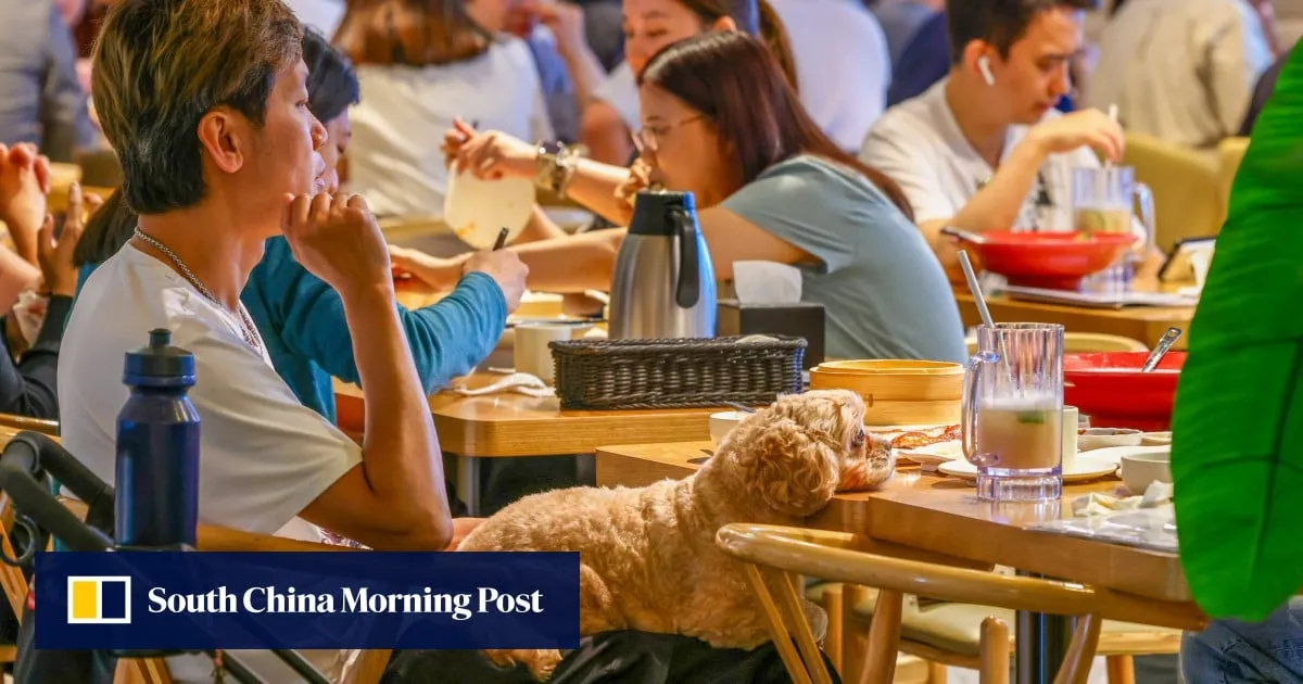 Hong Kong’s dog-friendly restaurant scheme receives 700 applications on first day