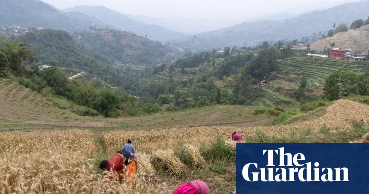 Free up fertiliser supplies to avert global food crisis, Yvette Cooper urges