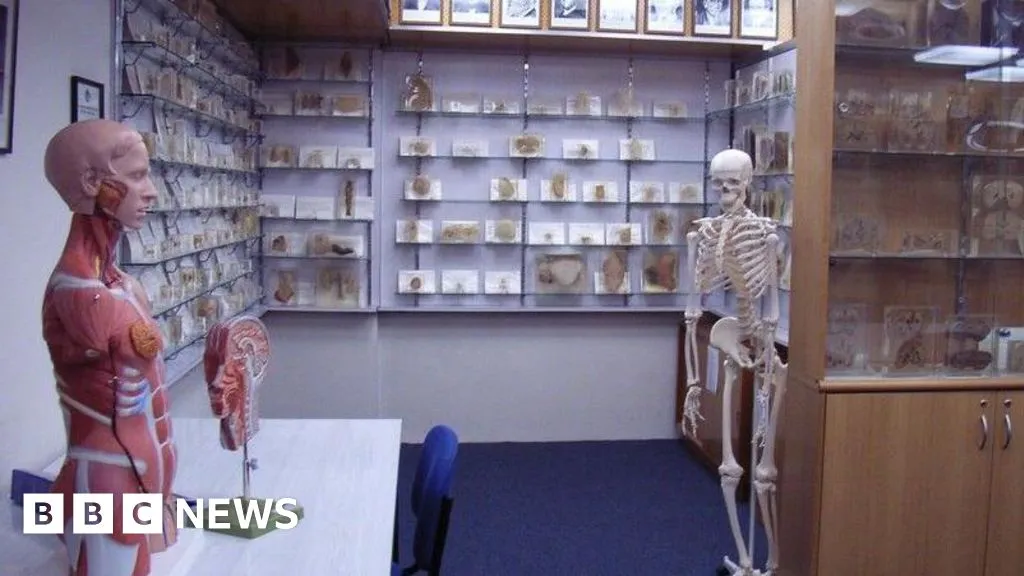 Tasmanian government apologises over stolen body parts scandal