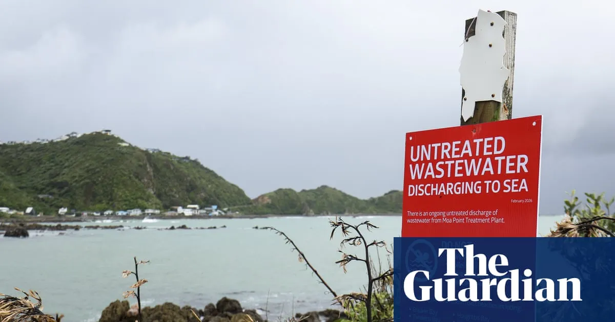‘How are we going to survive this?’ Wellington faces six-month wait to halt sewage spill