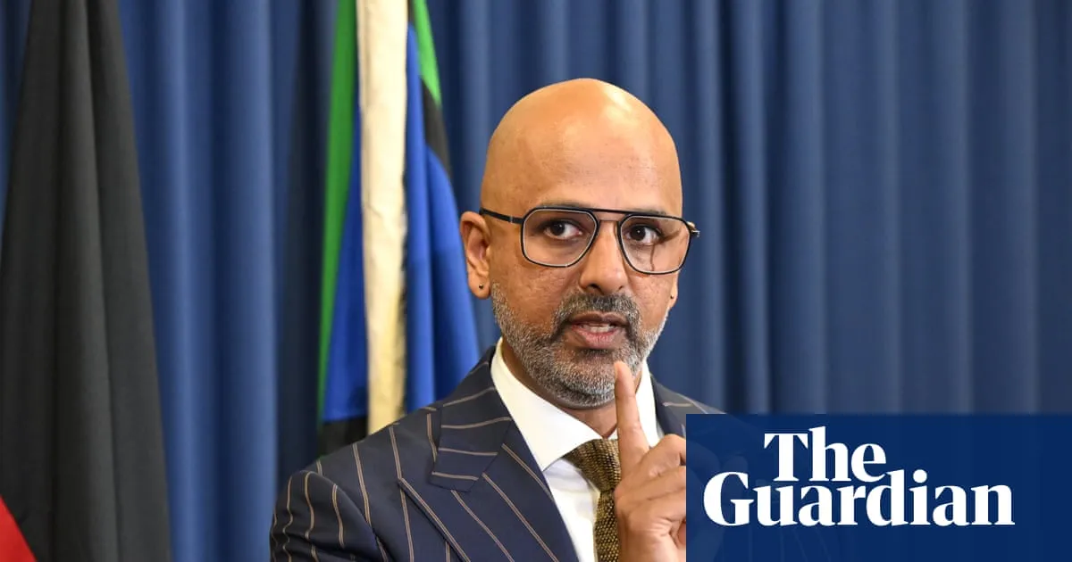 ‘Vein of racism’: race discrimination commissioner accuses One Nation and Coalition of scapegoating immigrants