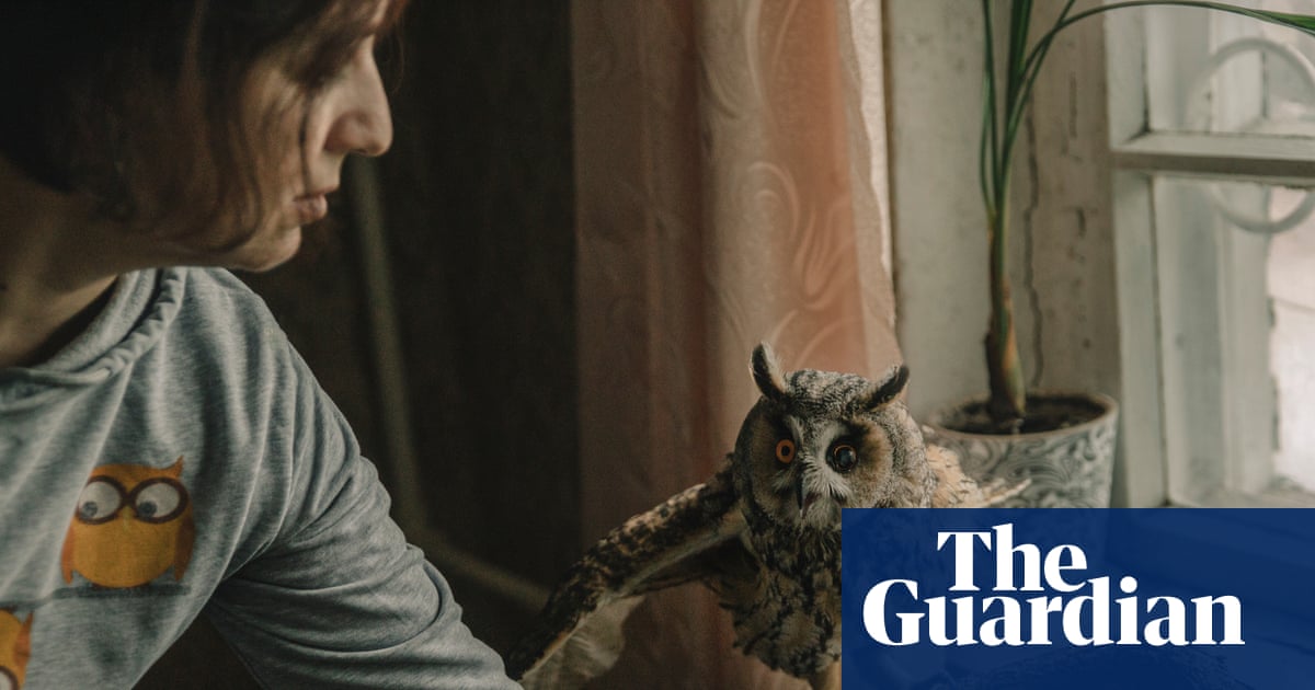 Blinded and broken, Sunny the owl becomes another casualty of Russia’s war