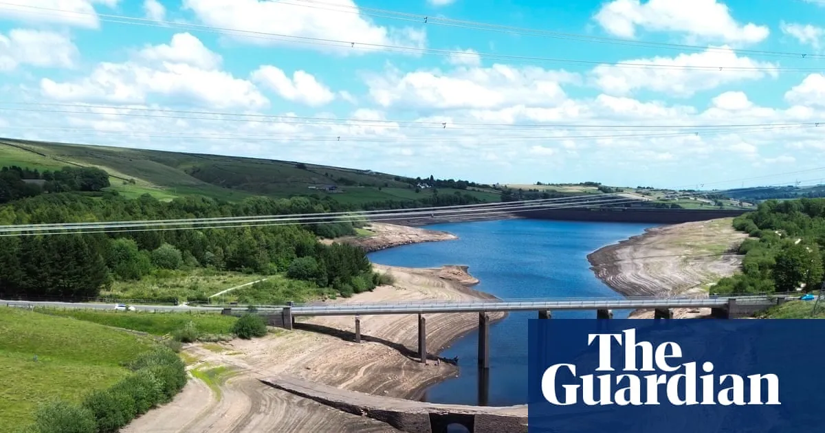 England must harvest rainfall and take action on water usage, Lords warn