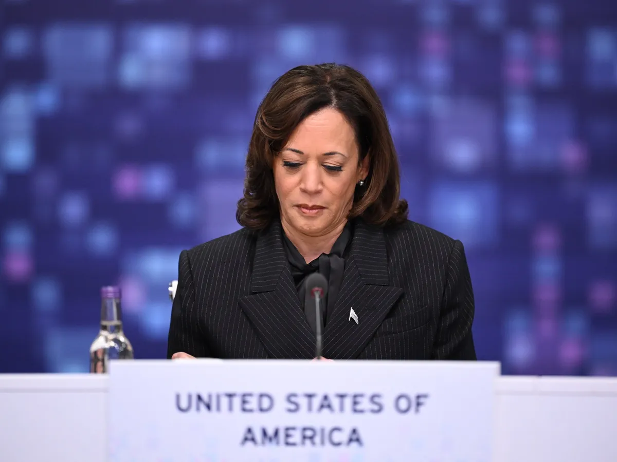Five key takeaways from Democrats’ autopsy report on Kamala Harris’s loss