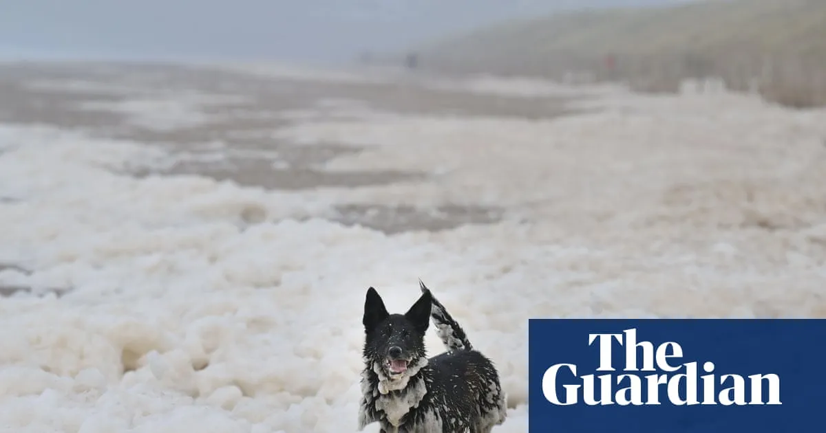 Sea foam may look sinister but it is mostly harmless and natural