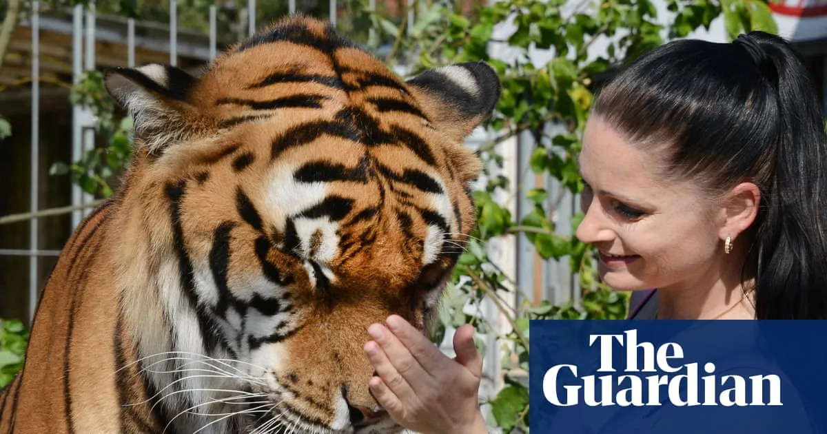Escape of big cat belonging to Germany’s ‘Tiger Queen’ shatters peace of small town