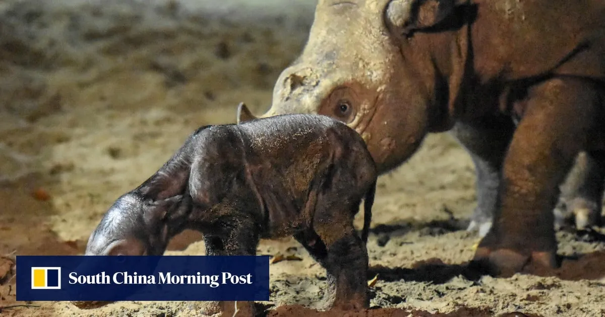 Over 4,300 Southeast Asian species face extinction threat