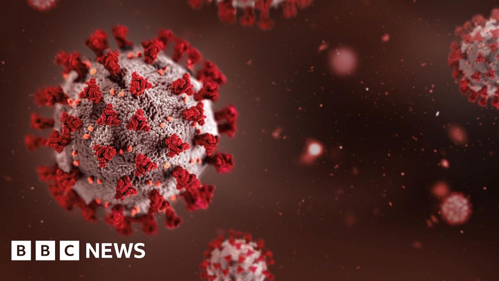 Africa summit in India postponed over Ebola outbreak fears