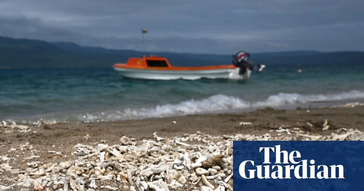 UN’s climate crisis vote shows political momentum is growing, say experts