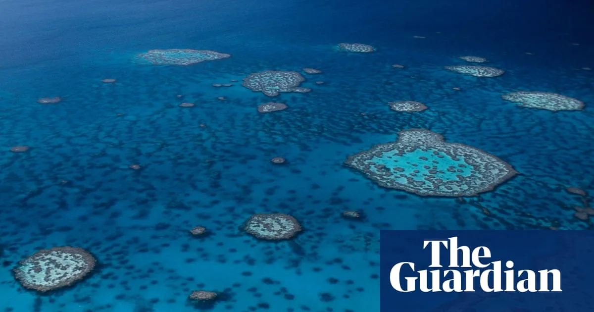 Shark attack: man dies on Great Barrier Reef in far north Queensland