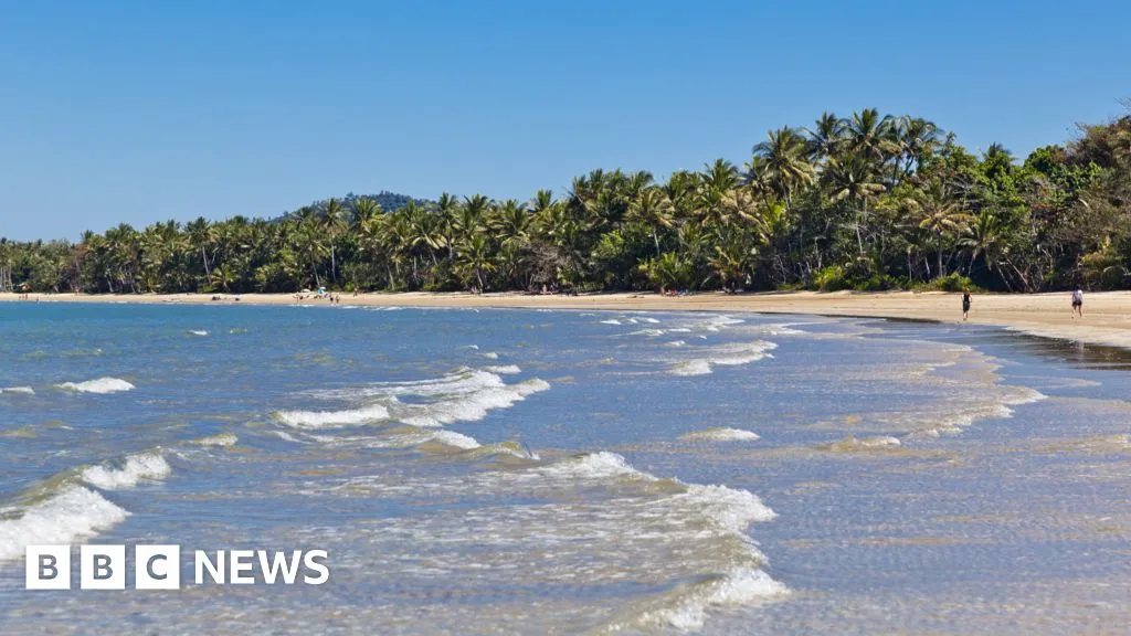 Man killed in shark attack off Australia's north-east coast