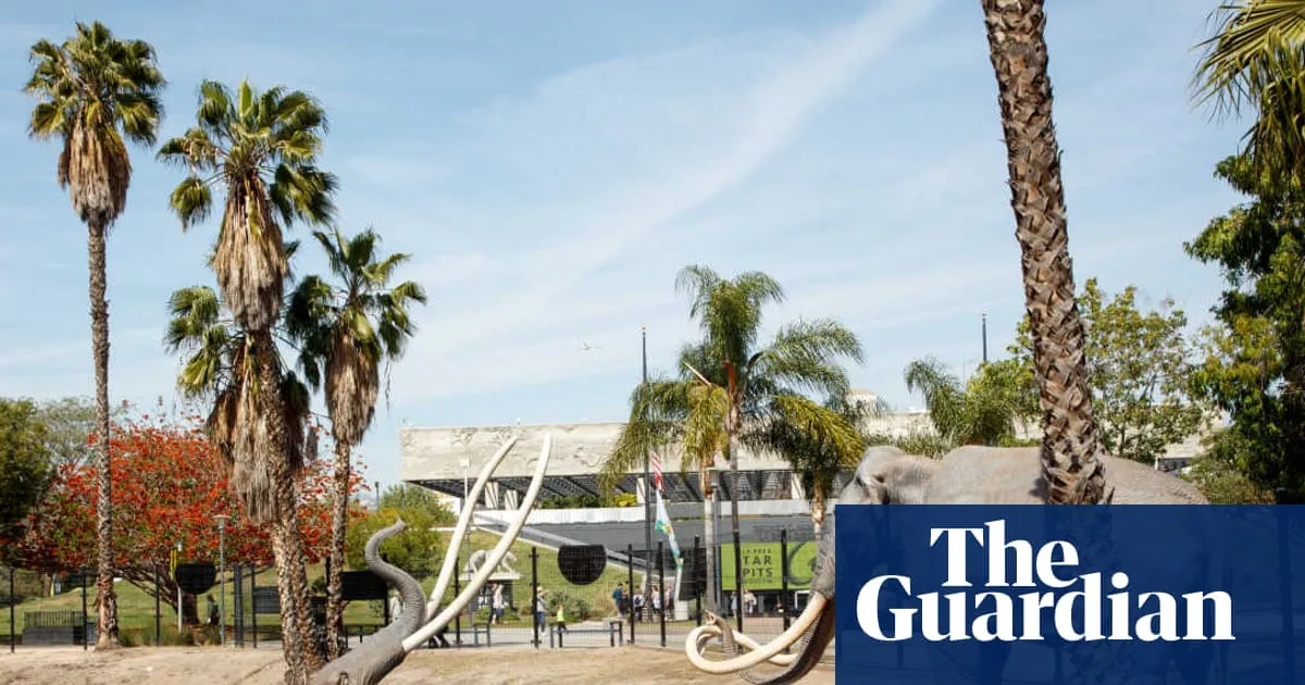 ‘Pompeii, but in the middle of a massive city’: the ice age fossil site hidden in Los Angeles