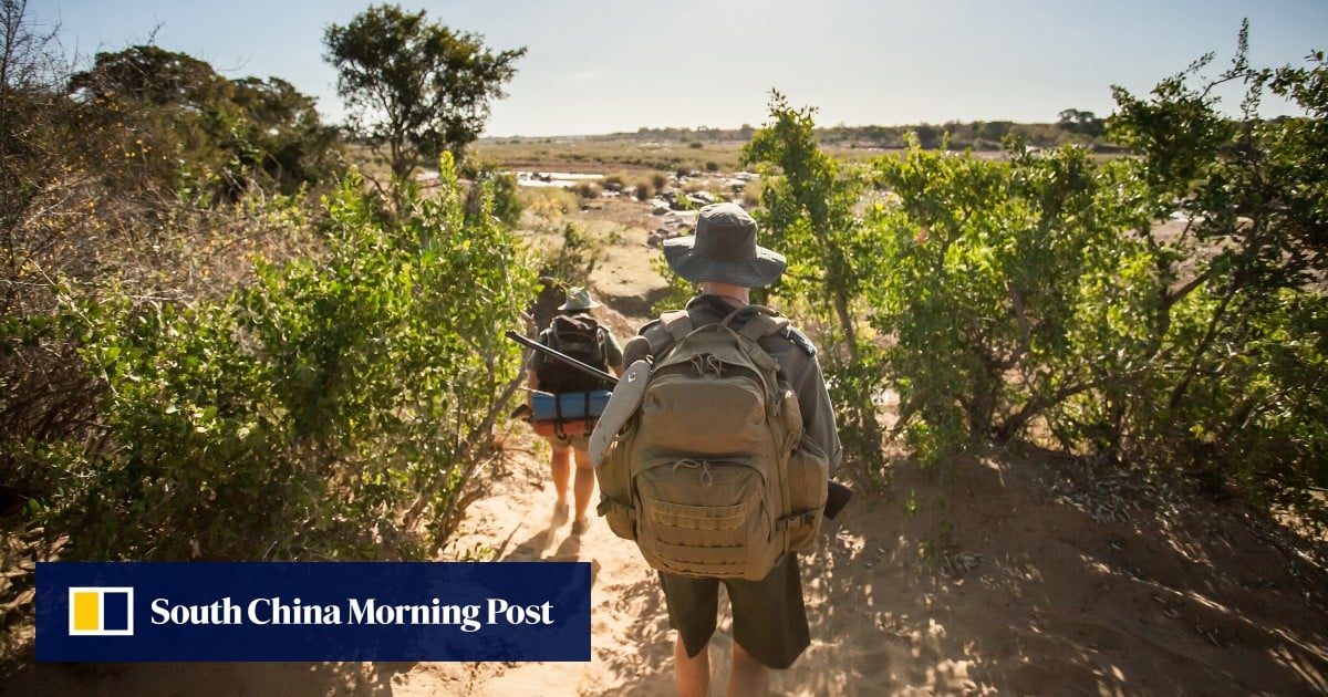 2 tourists killed by unknown assailant in South Africa’s Kruger National Park, police say