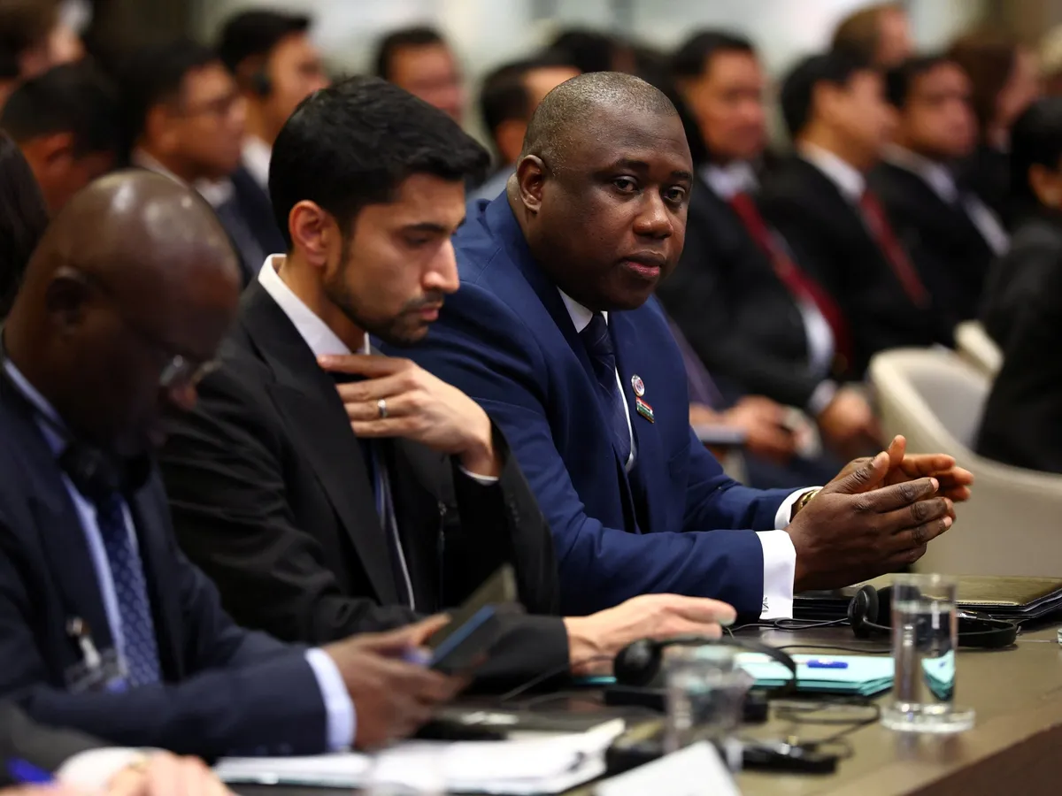 Why The Gambia wants Myanmar punished for Rohingya genocide