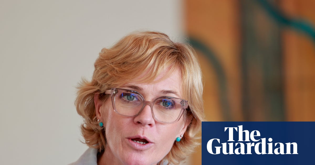 Zali Steggall says donation rules favour teals forming own party but other independents rule out idea
