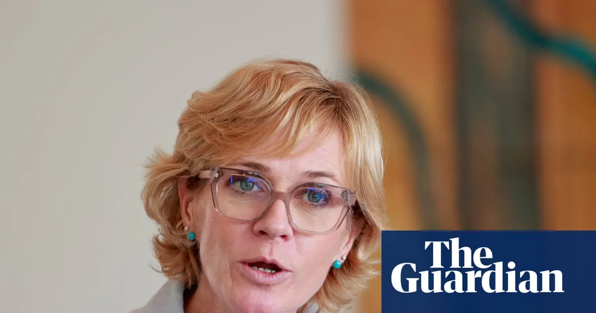 Zali Steggall says donation rules favour teals forming own party but other independents rule out idea