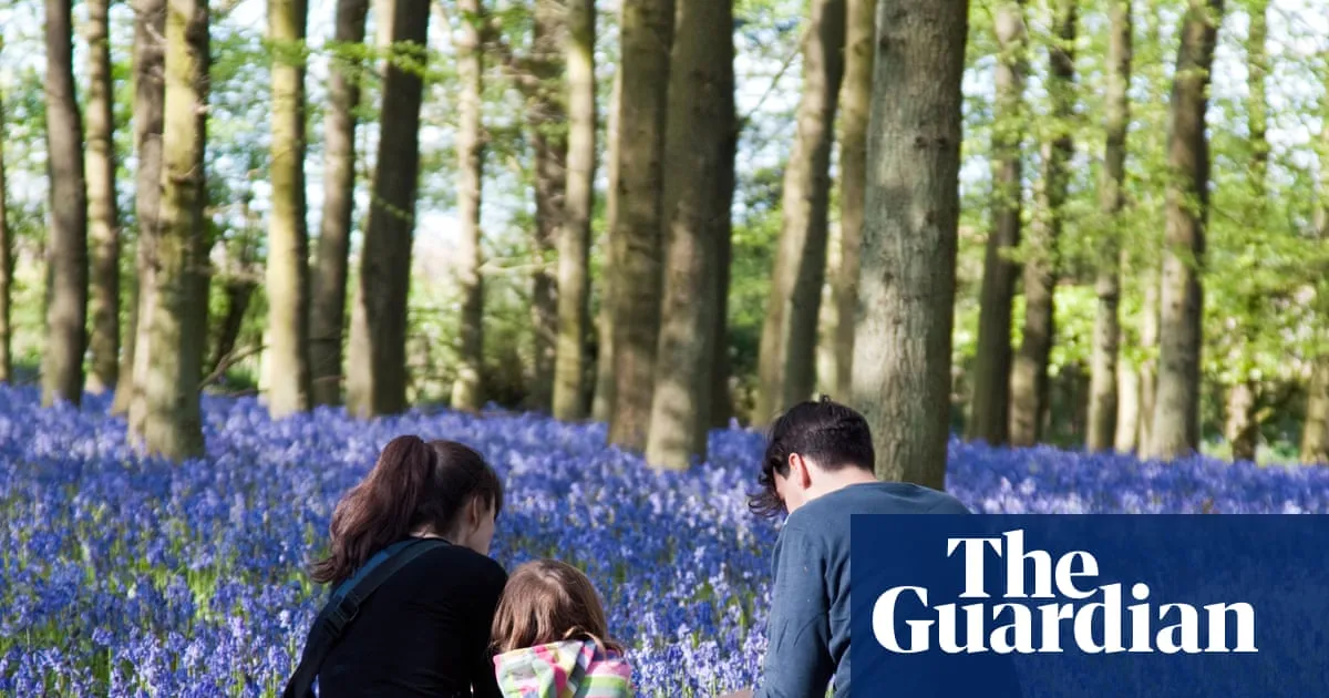 Half of UK adults say they spend less than three hours a week outside in nature