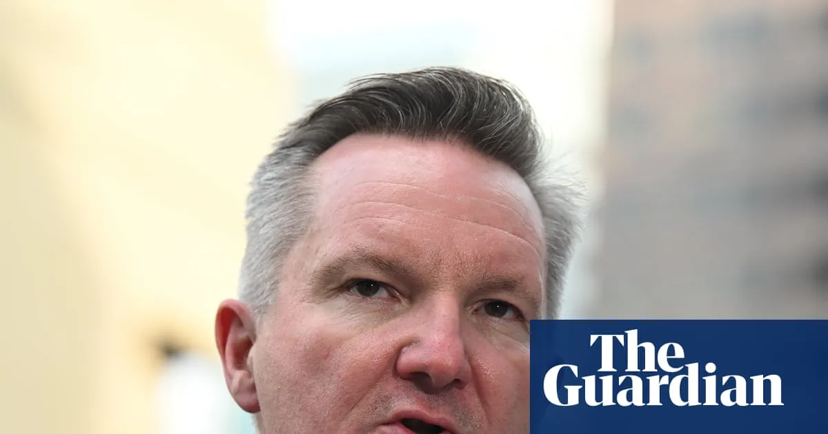 Chris Bowen says he has made it ‘crystal clear’ to BHP and other big polluters they must cut emissions onsite