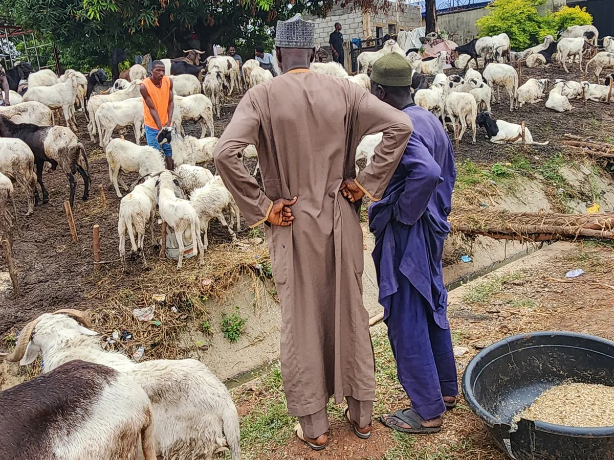 Cost of living crisis reshapes Eid spending in Nigeria