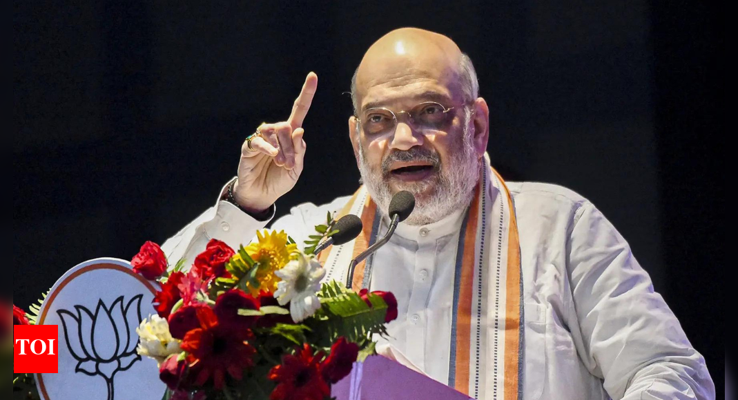 'Sau chuhe kha kar, billi haj ko chali': Shah mocks Tejashwi over crime remarks