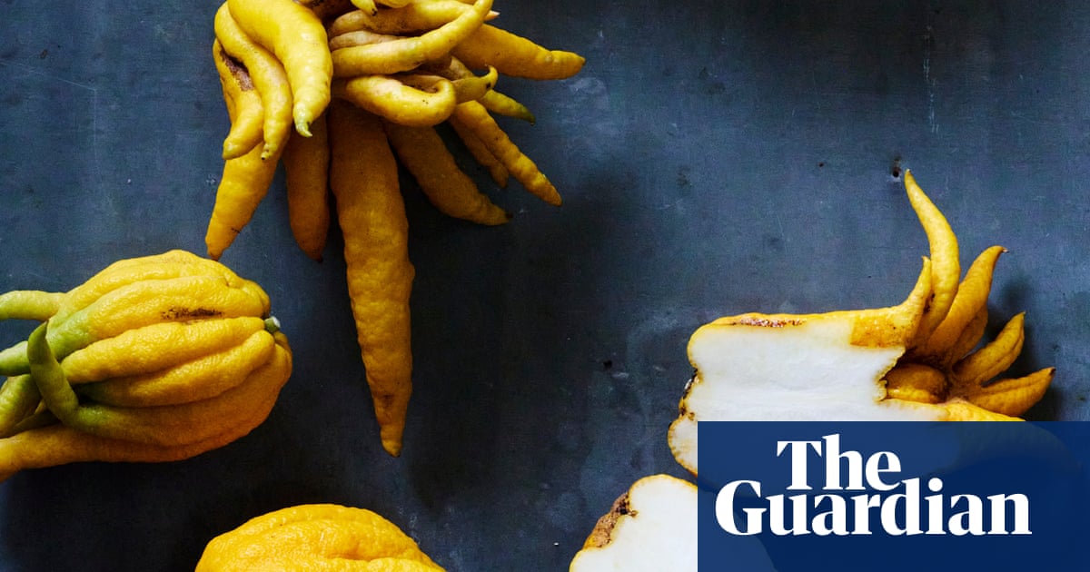 ‘Garden of Eden’: the Spanish farm growing citrus you’ve never heard of