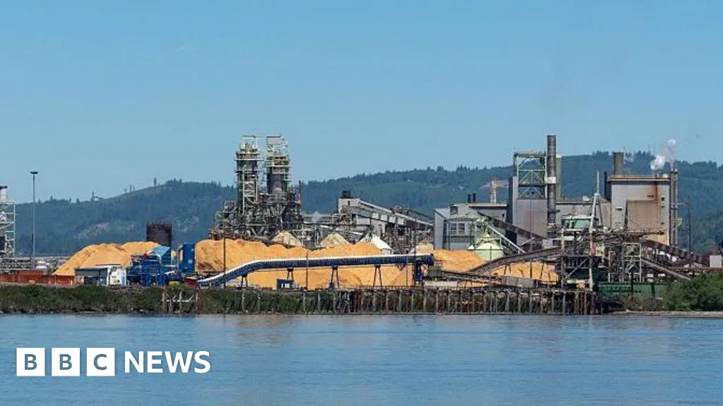 Multiple people killed and others missing after chemical explosion at US paper mill