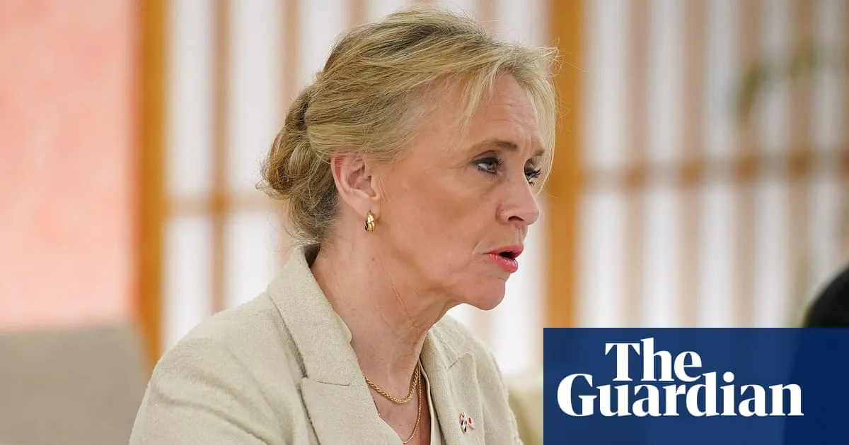 Iceland’s foreign minister fears ‘Brexit moment’ in EU accession referendum