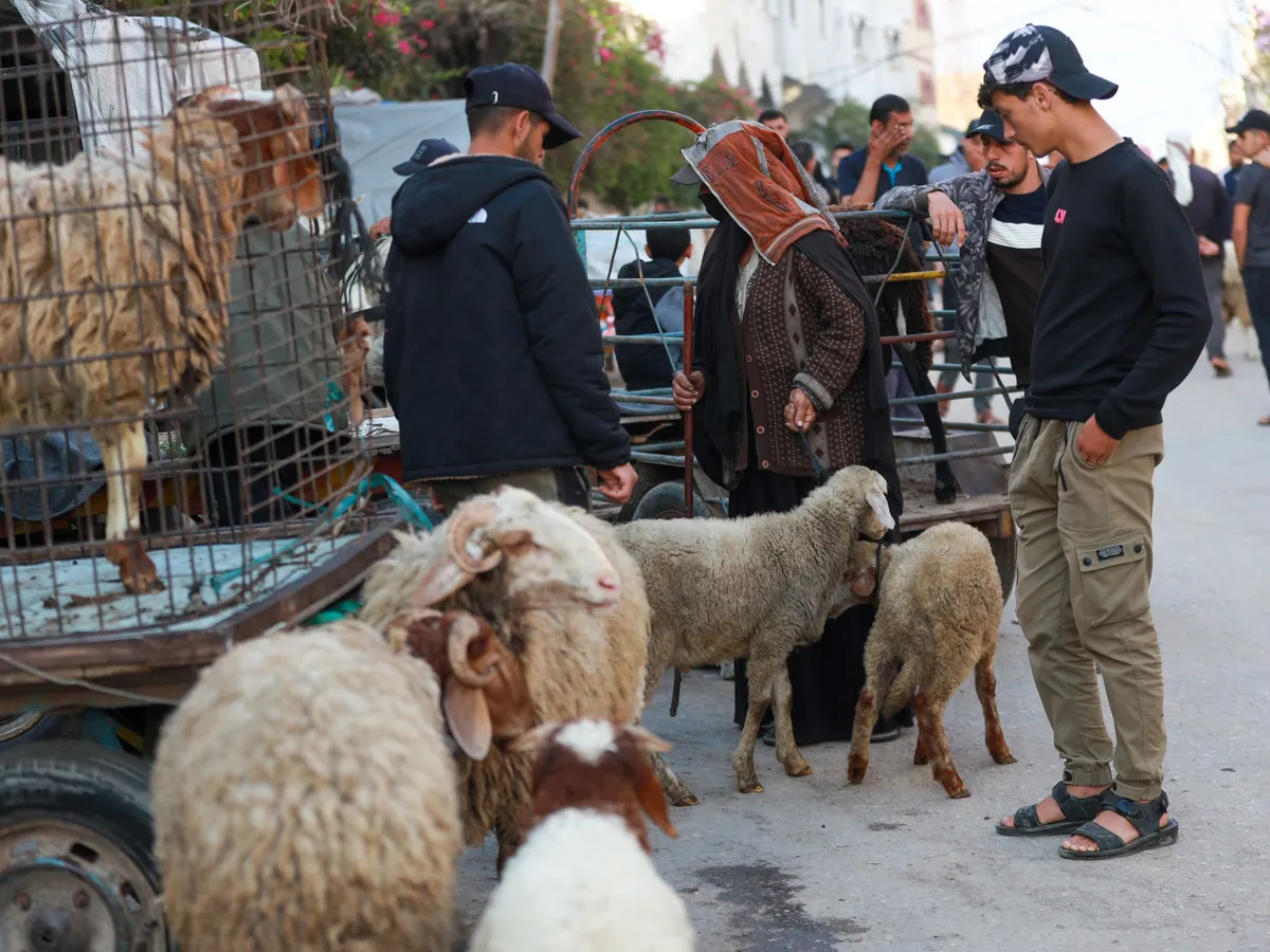 ‘No livestock but still hope’: Palestinians prepare for Eid al-Adha in Gaza