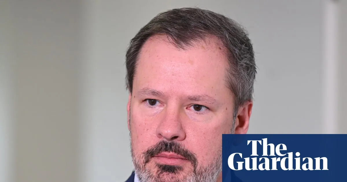 Ed Husic calls on Labor to establish ‘red line’ on Israel’s actions, including treatment of flotilla activists