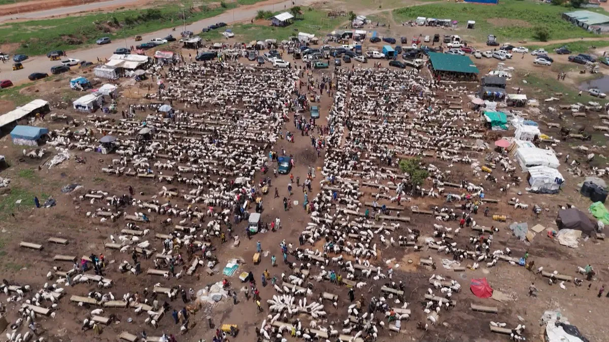 Nigeria’s Eid Crisis: When a ram becomes a luxury