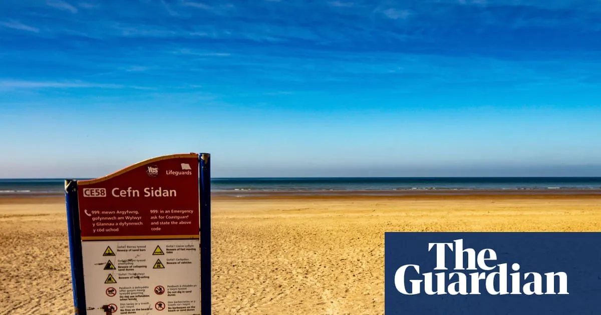 Hundreds of dead sharks and fish wash up on two beaches in Wales