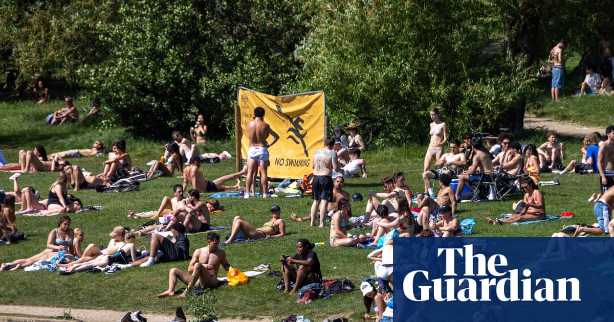Swimmers urged to keep out of Hampstead Heath pond to protect nesting swans