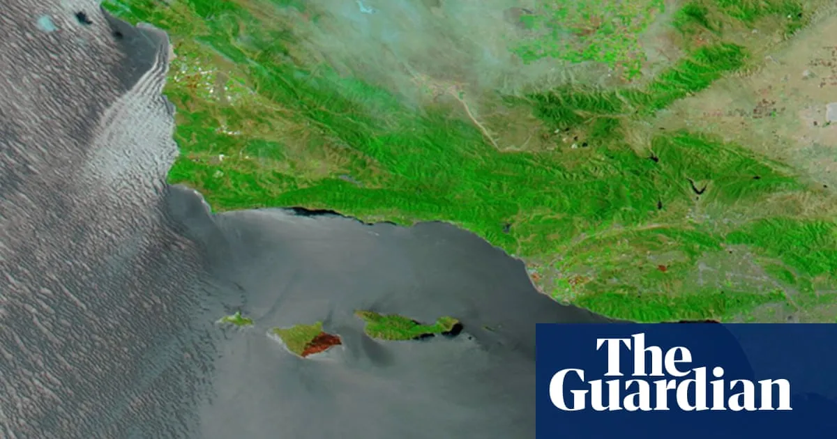 Nasa images show wildfire damage to island dubbed ‘Galapagos of California’