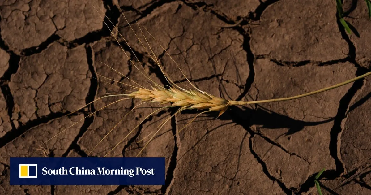 Earth is hot and getting hotter: UN warns next 5 years likely to smash records