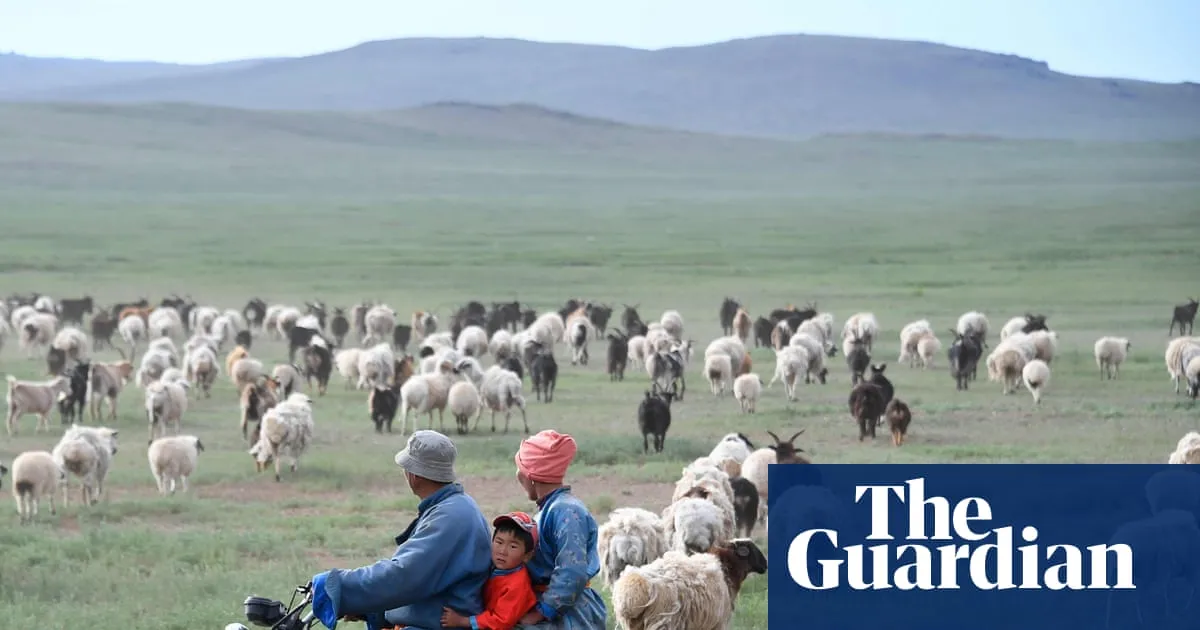 Greener pasture of a shepherd’s life lures Chinese workers penned in by ‘996’ jobs