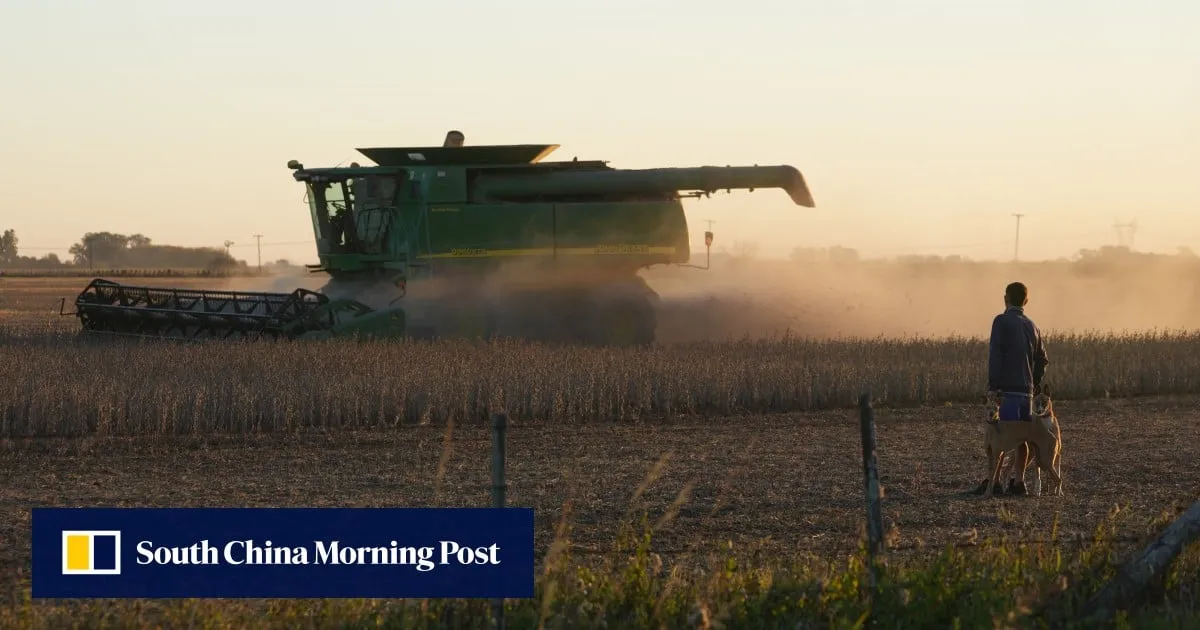 US farmers seek firmer soybean guarantees despite Xi-Trump agriculture pledge