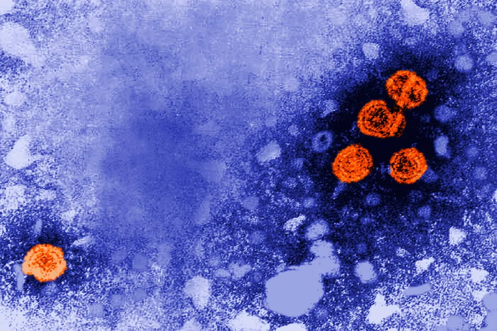 Experimental hepatitis B drug may offer ‘functional cure’ for some patients