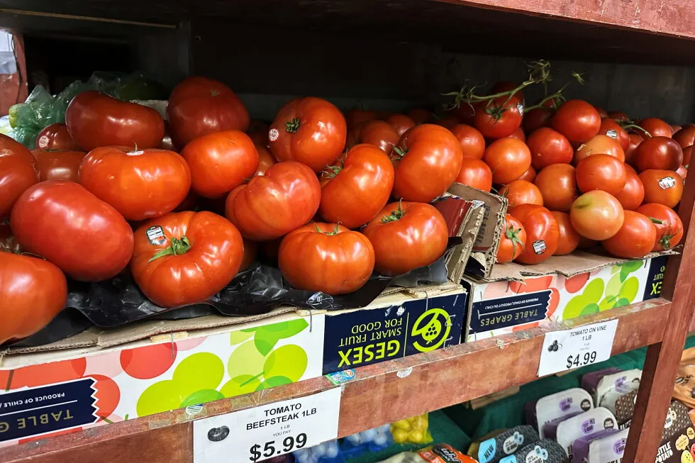 Tomatoes become latest symbol of America’s affordability squeeze