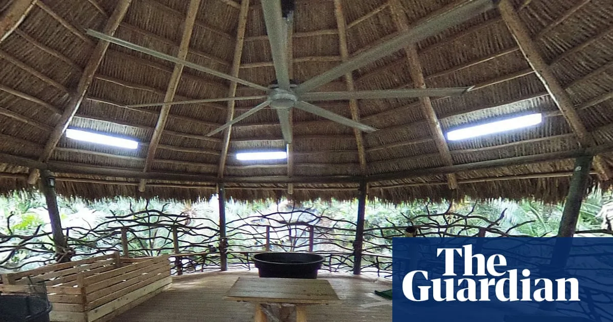 Animal welfare violations swarm Miami zoo owned by ex-drug kingpin in Tiger King