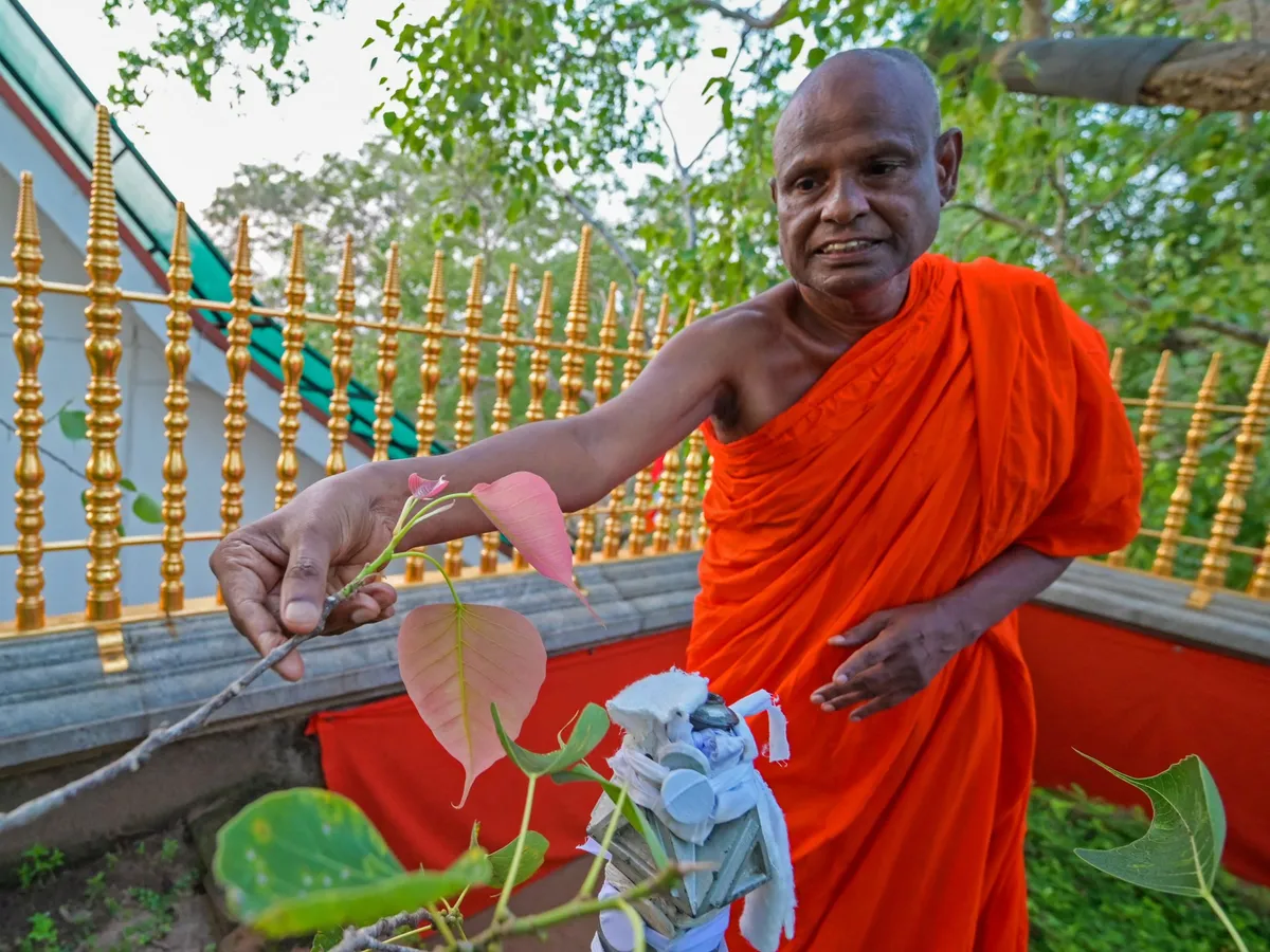Senior Sri Lankan monk suspended over child sex abuse allegation