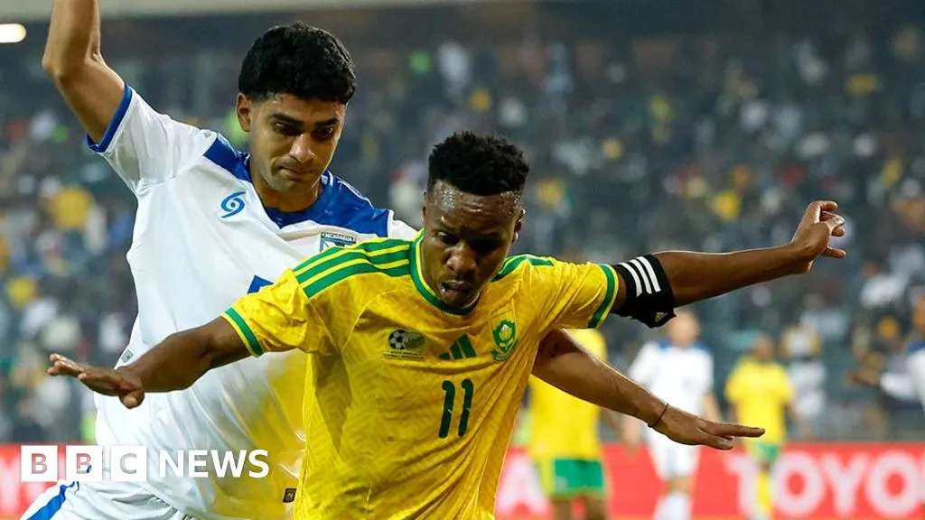 South Africa made to look like fools after World Cup visa issues, says minister