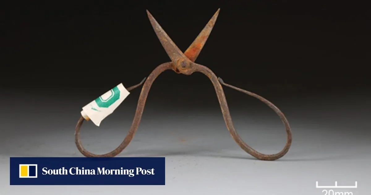 Why a fabled Chinese surgeon’s tomb may help rewrite history of anaesthetic use