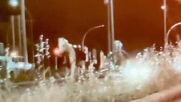 Fireworks reportedly trigger mass horse stampede through Rome streets, injuring several soldiers