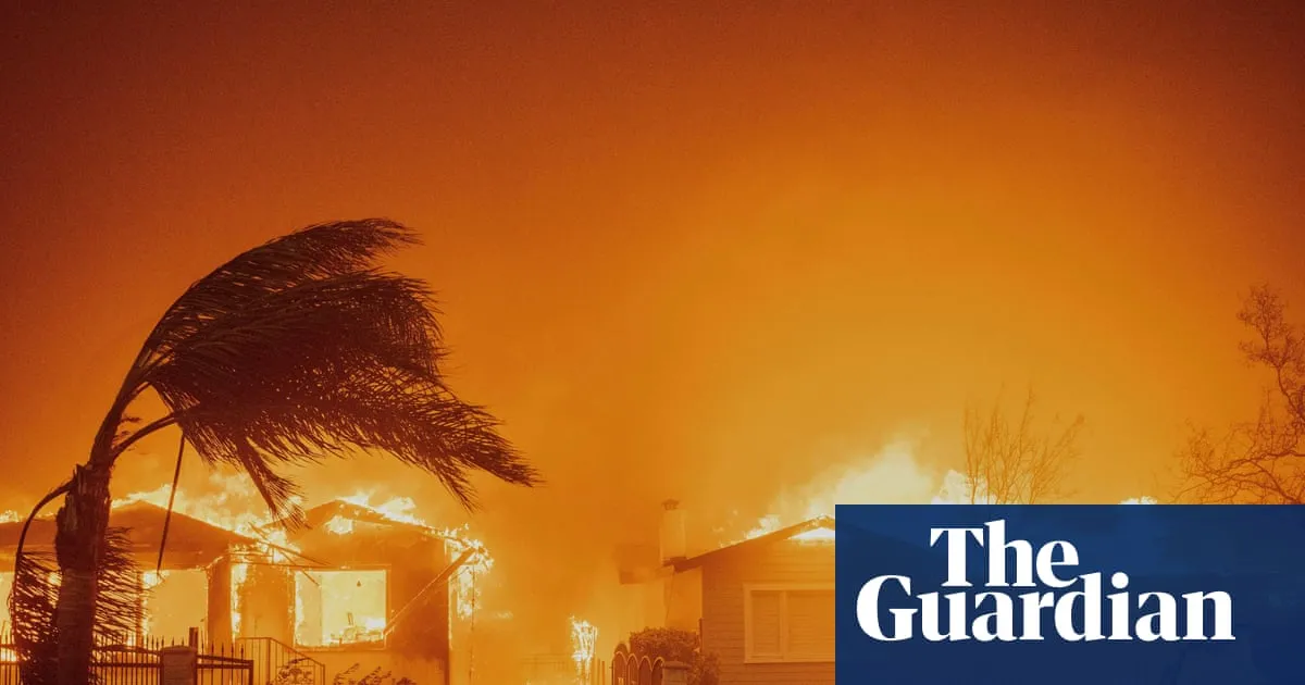 Wildfires devastating richer areas but fewer hectares burned globally – study