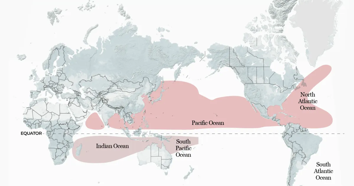How could El Nino reshape tropical storms around the world this year?