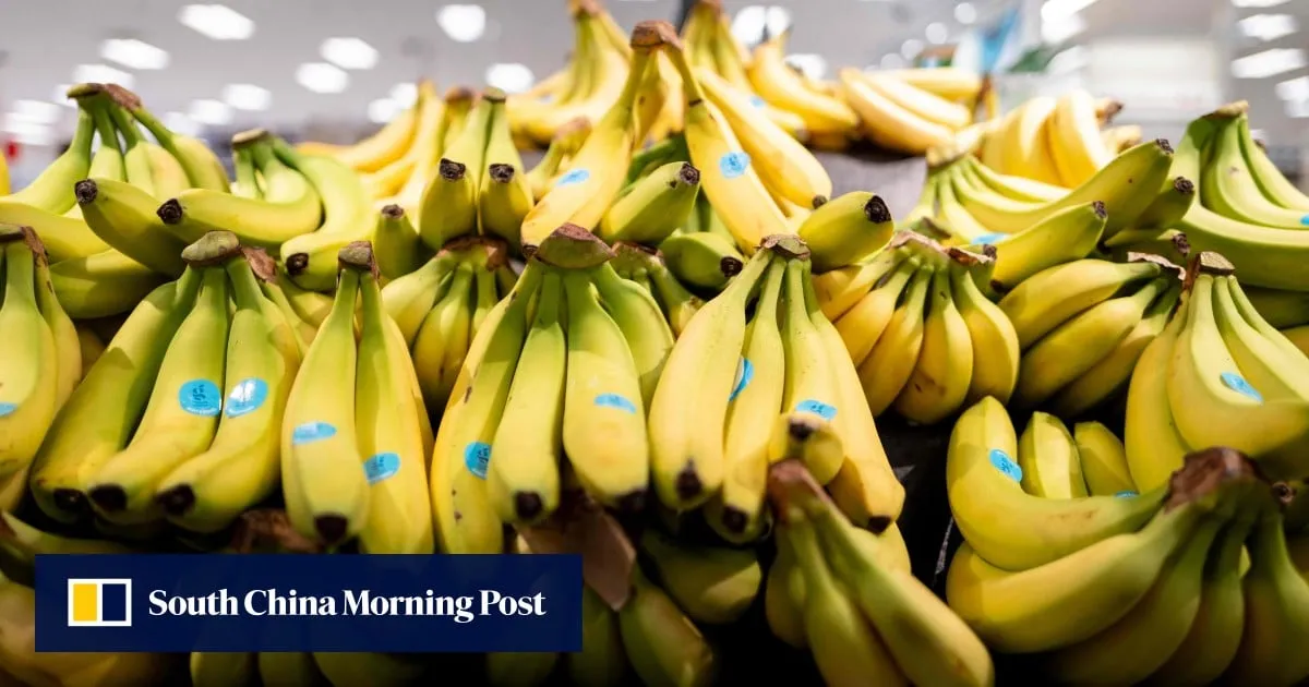 In Japan, ethylene shortage may cause bananas to ‘disappear’ from dining tables