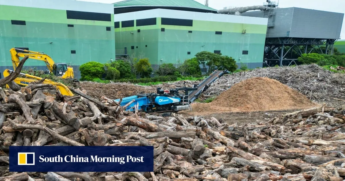 Machinery use suspended after worker severs hand at Hong Kong recycling centre